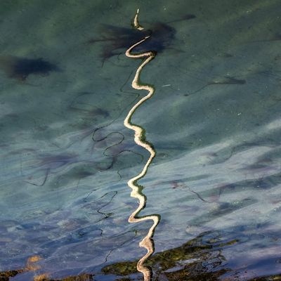 Abstract image representing calm breathing patterns.